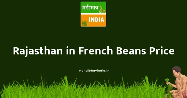 French Beans भाव